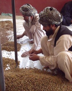 Training course for Afghan farmers